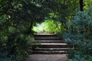 Le Jardin de la Reine de Montpellier