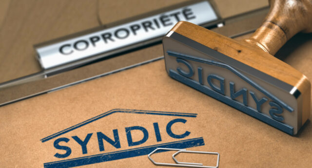 Syndic