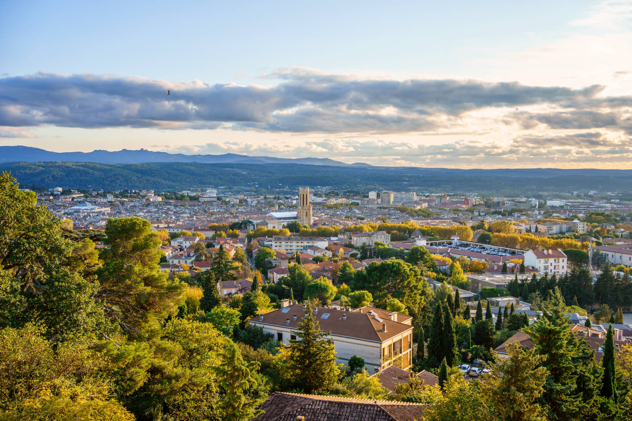 immobilier