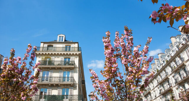 Immobilier Paris