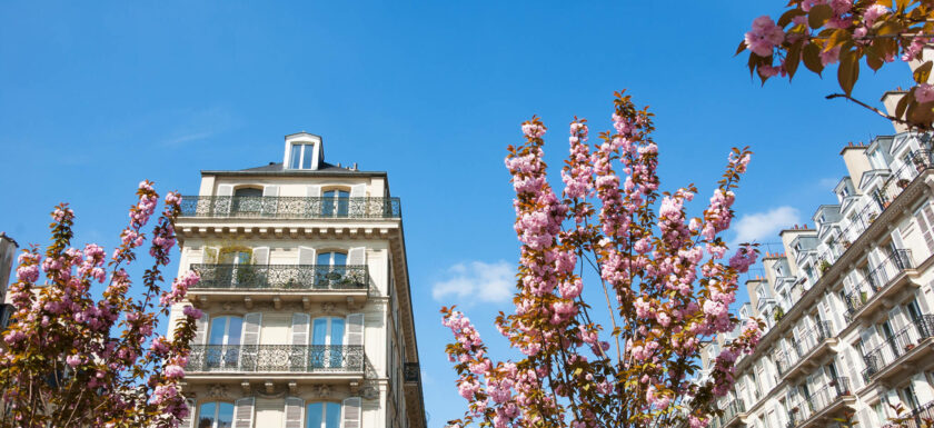 Immobilier Paris