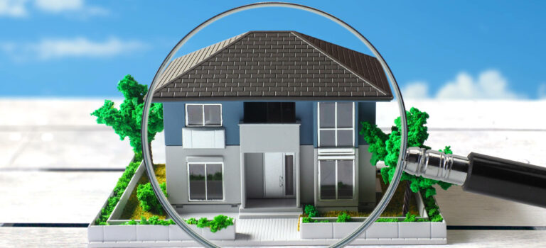Xerfi-MySweetImmo