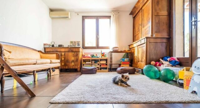 Buddy's Immobilier