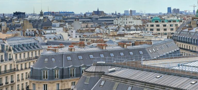 Vue panoramique de toits parisiens