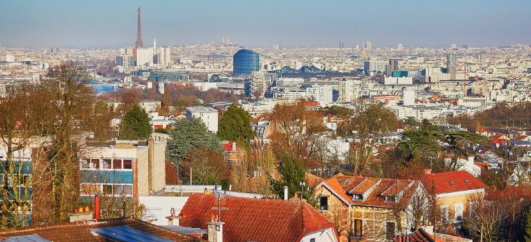 Vue aérienne de Paris et de l'Ile de France