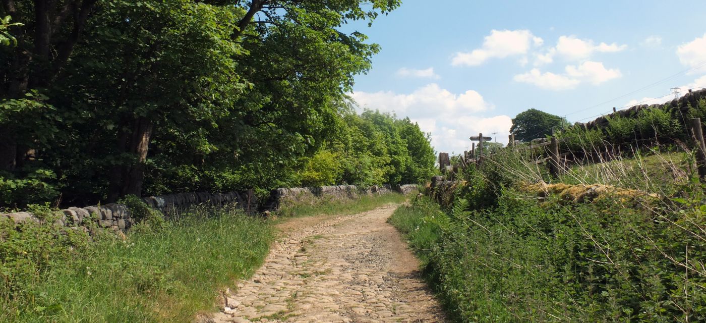 chemin à la campagne