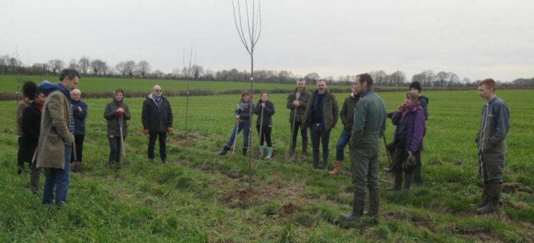 Un projet d'agroforesterie