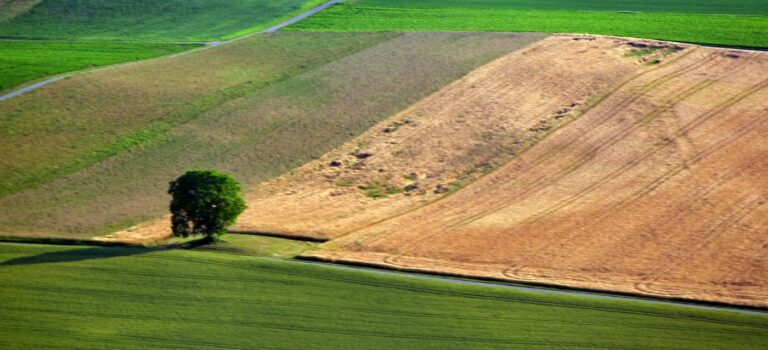 parcelle de terrain agricole