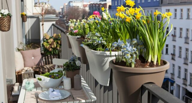 Balcon fleuri