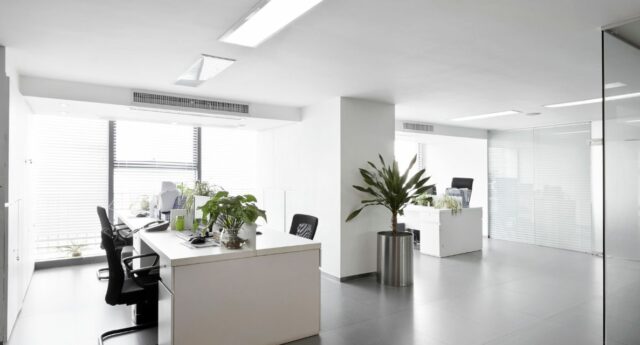 Open Space avec 3 bureaux blancs, et des plantes vertes pour illistrer l'immobilier professionnel.