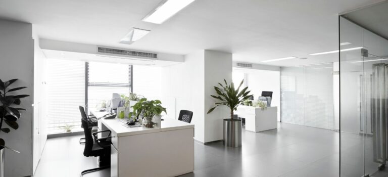 Open Space avec 3 bureaux blancs, et des plantes vertes pour illistrer l'immobilier professionnel.