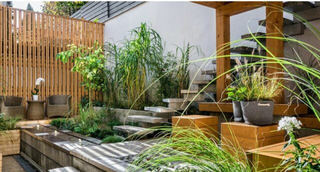 terrasse avev des plantes vertes une table en bois