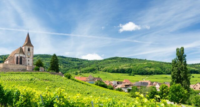 vue d'un village et de son eglise au milieu des vignes