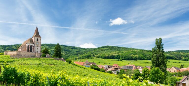 vue d'un village et de son eglise au milieu des vignes