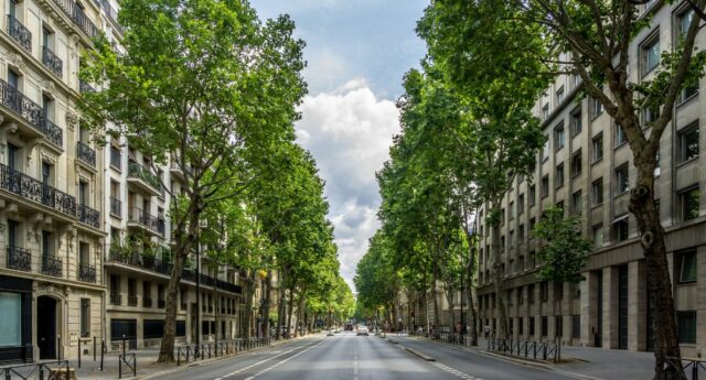 Le boulevard Saint-Germain a Paris