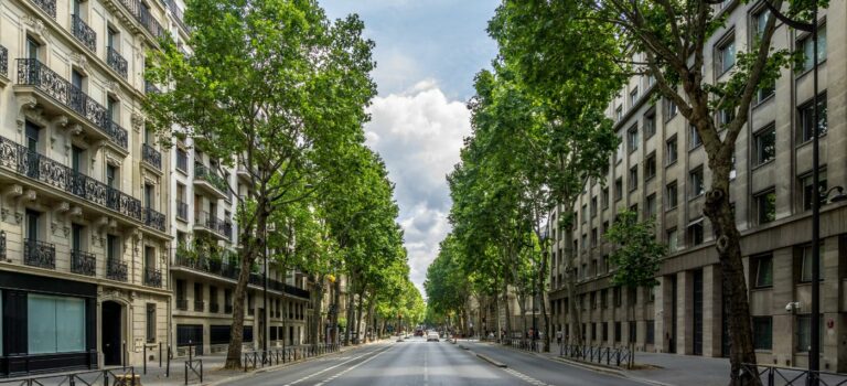 Le boulevard Saint-Germain a Paris