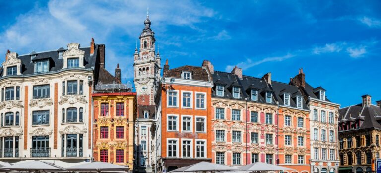 Panorama du Vieux Lille