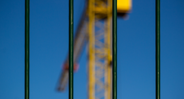 Grue jaune derriere des barreaux