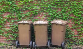 Trois bacs a ordure bruns devant un mur de feuilles