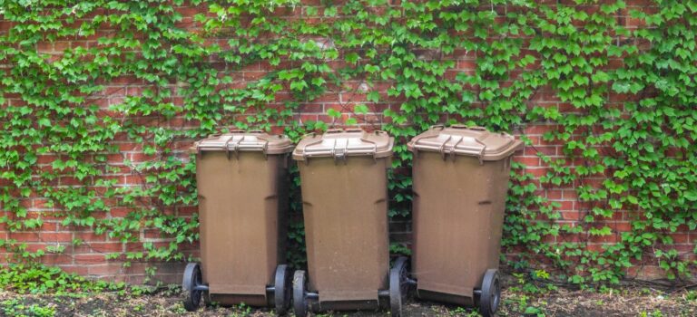 Trois bacs a ordure bruns devant un mur de feuilles