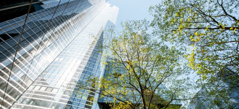 immeubles de bureaux en verre et branche d'arbre
