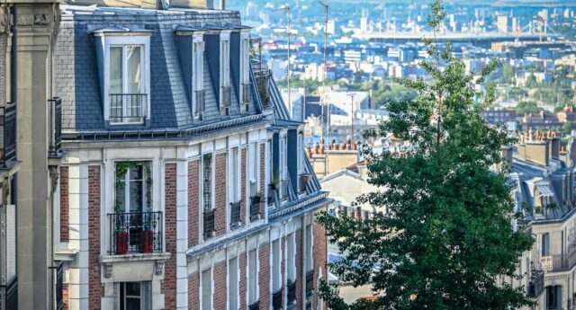 immeubles hausmmaniens et vue sur Paris pour illustrer les biens immobiliers