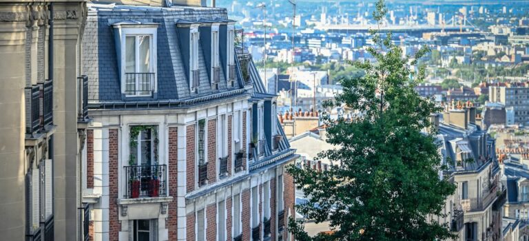 immeubles hausmmaniens et vue sur Paris pour illustrer les biens immobiliers