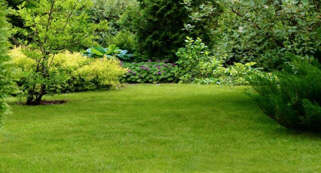 Jardin