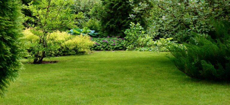 Jardin
