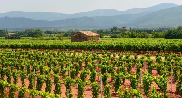 Paysage du Var