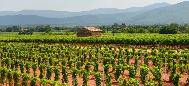 Paysage du Var