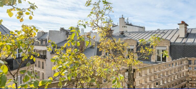 Duplex a vendre a Paris au cœur du quartier Saint-Georges