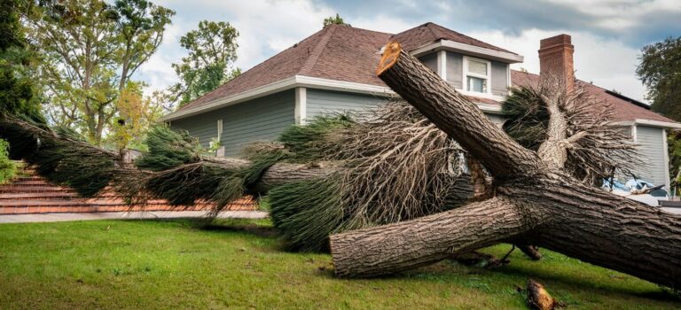 Comment proteger sa maison face aux intemperies