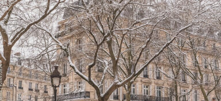 immeubles haussmanniens a Paris sous la neige pour illustrer le ralentissement immobilier