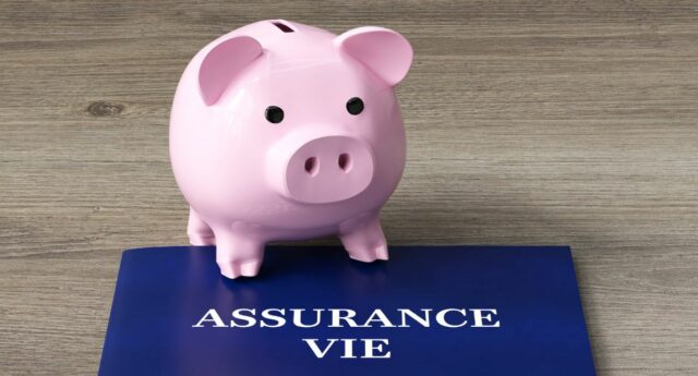 tirelire en forme de cochon pose sur un livret d'assurance-vie
