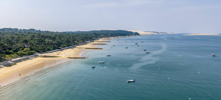 le Bassin d’Arcachon confirme la solidite de son marche