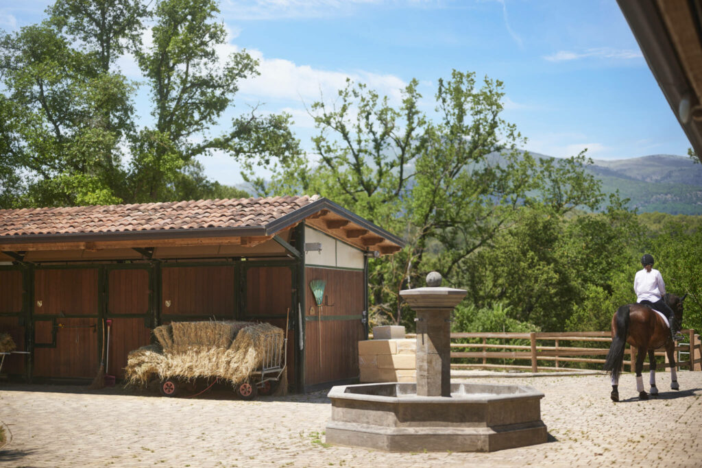 Propriete equestre a vendre