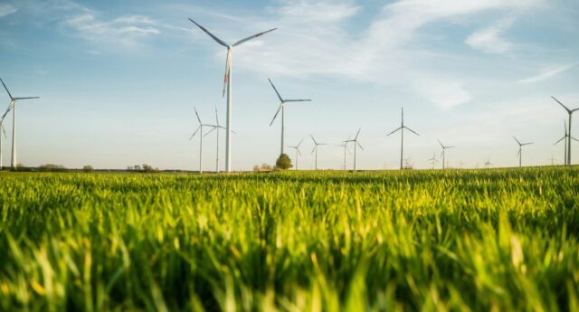 champ avec des eolienne pour illustrer electricite verte
