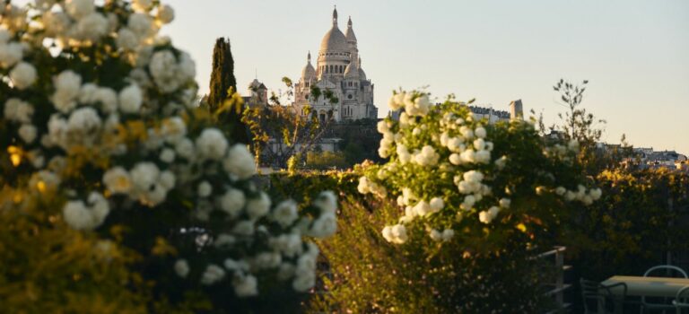 Duplex toit terrasse d'exception a Montmartre
