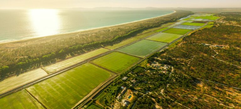 Immobilier : pourquoi les prix flambent a Comporta