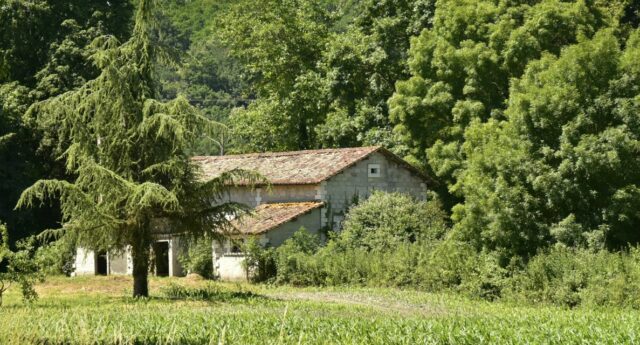 Maison entouree d’une vegetation dense en lisiere de foret