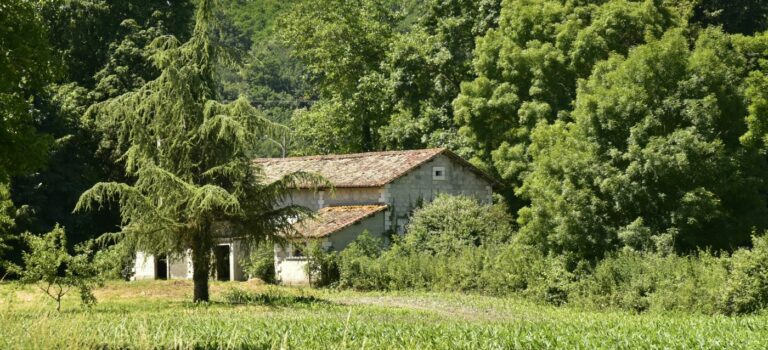Maison entouree d’une vegetation dense en lisiere de foret
