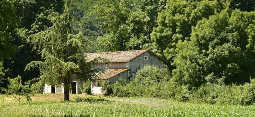 Maison entouree d’une vegetation dense en lisiere de foret