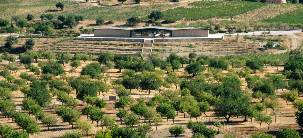 Vue du domaine viticole Son Mayol, propriété de 97 hectares à vendre près de Palma de Majorque